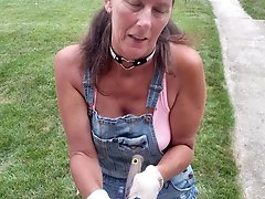 Dissolute aged hellcats enjoy blowjob